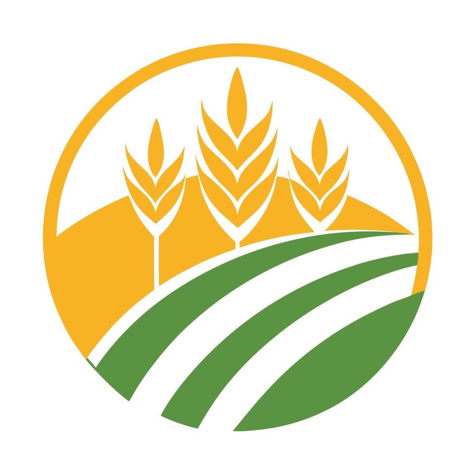 Agriculture Crop Field with Golden Wheat and Green Field Lines in Round Design vector