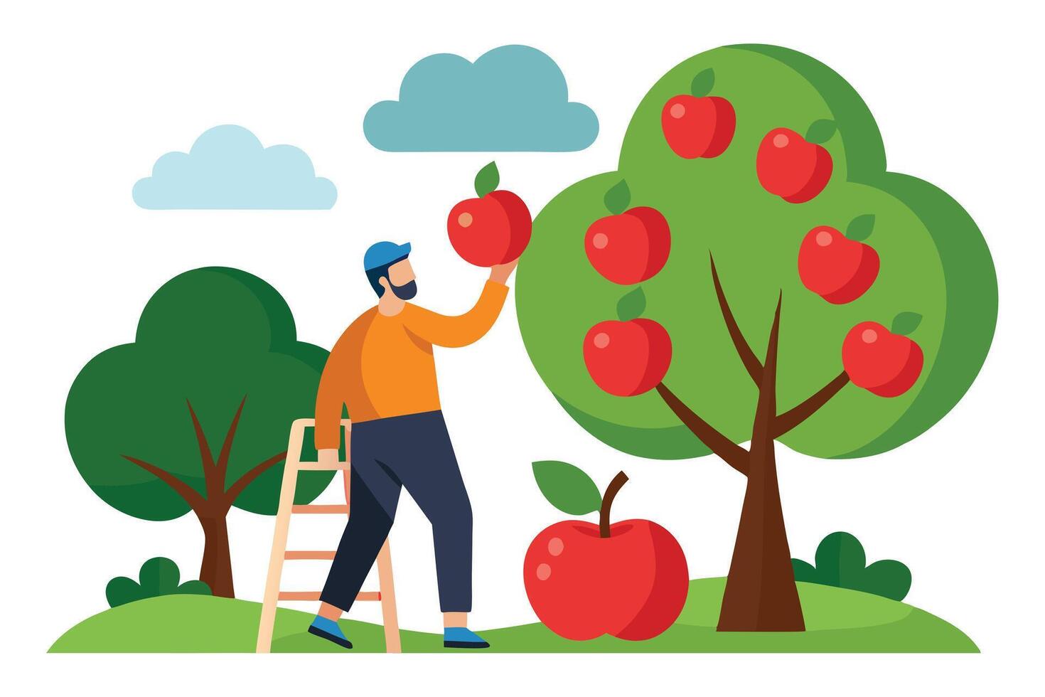 Flat Man Picking Apples on Ladder in Orchard with Blue Clouds Above vector