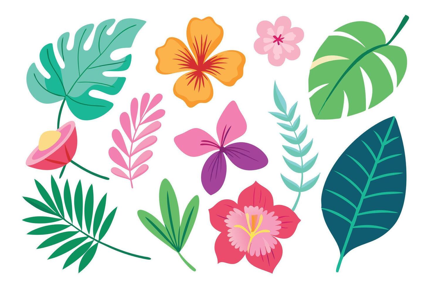 Tropical Flowers and Leaves Set in Cartoon Style on White Background vector