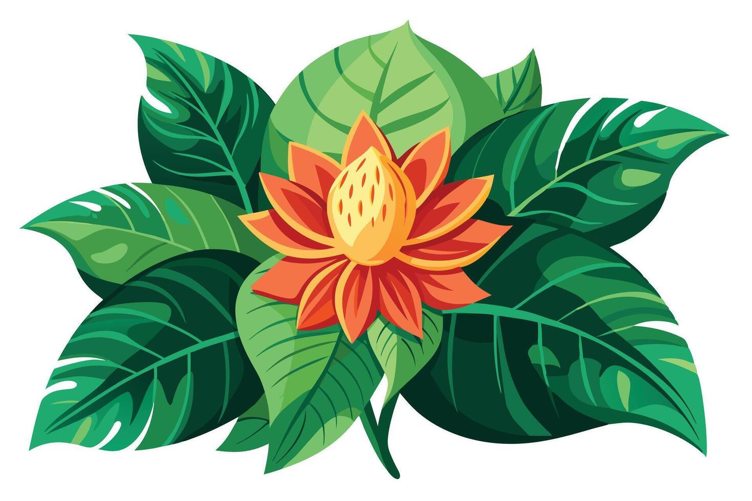 Tropical Orange Flower with Lush Green Leaves on a White Background vector