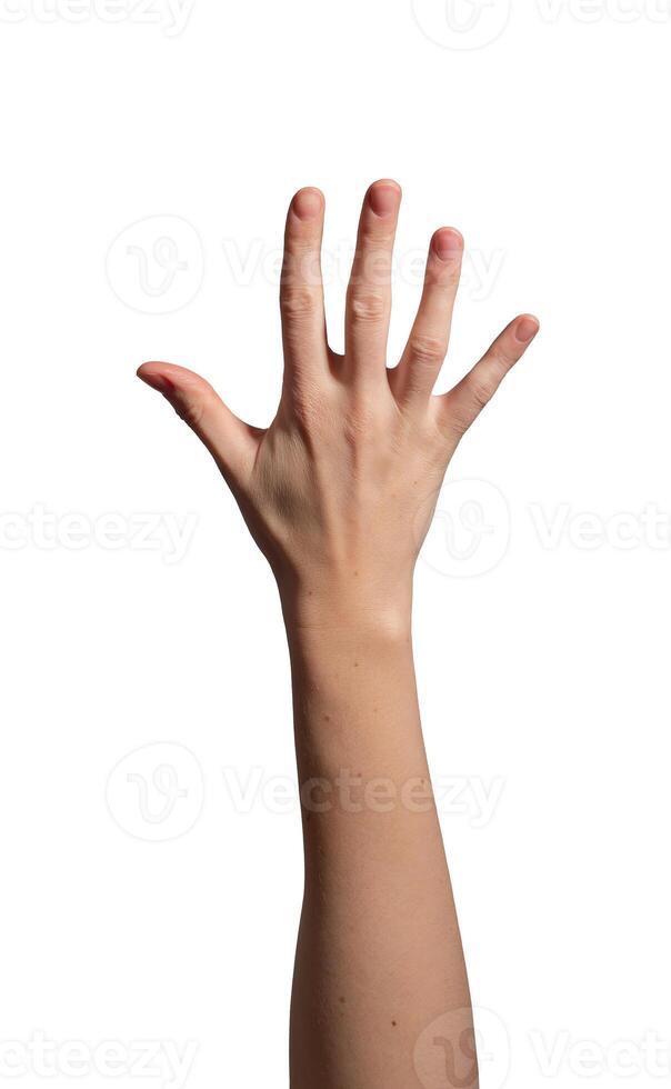 Female hand raised with an open palm and fingers spread apart, symbolizing a stop gesture, greeting, photo