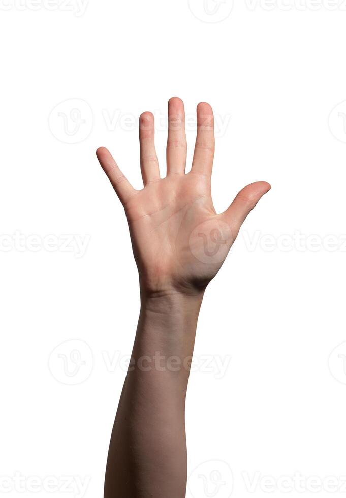 Female hand raised with an open palm, symbolizing greeting, waving, or a high-five gesture. Fingers photo