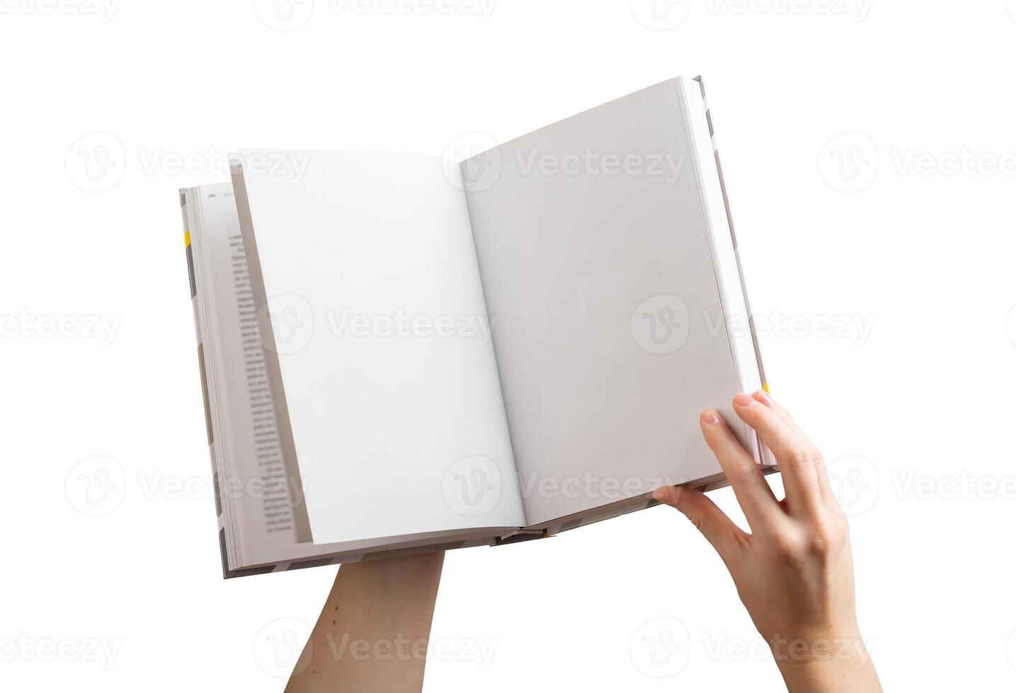 Hands holding open book with blank pages, reading and education concept. Literature, knowledge, photo