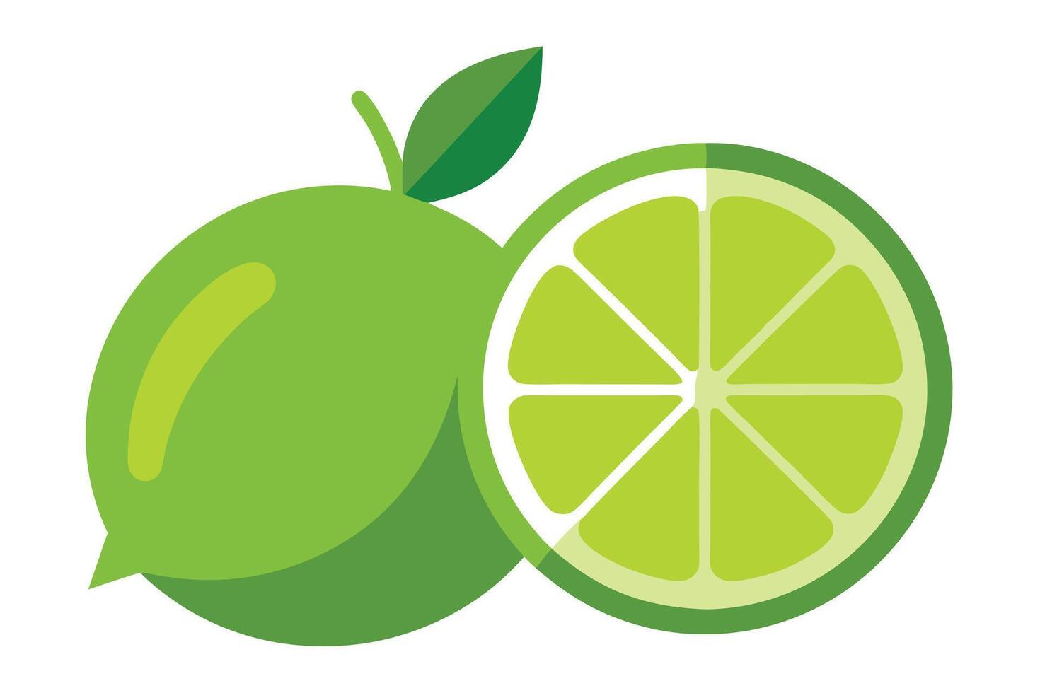 Minimalist Green Lime Citrus Whole and Slice on White Fresh Healthy Fruit Design vector