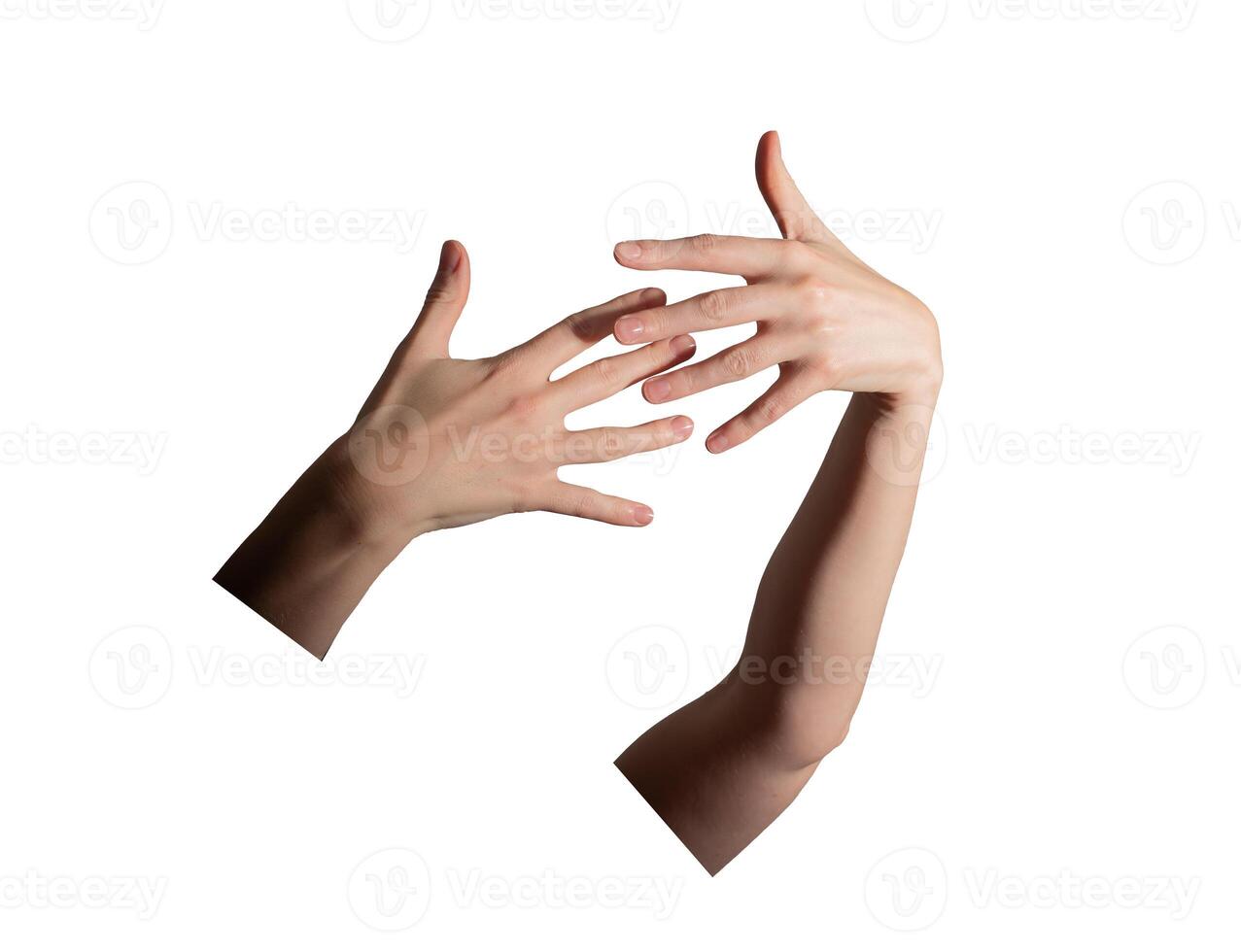 Well-groomed female hands with neatly polished nails intertwined elegantly. Minimalist beauty, photo
