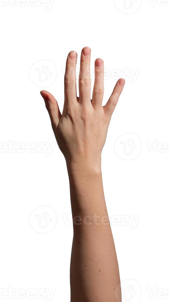 Female hand raised with an open palm, symbolizing greeting, waving, or a stop gesture. Fingers photo