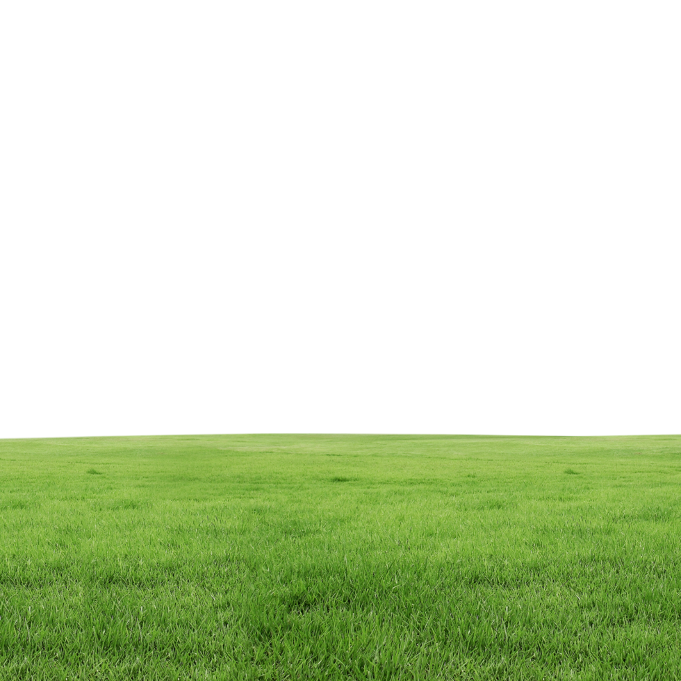 Lush Green Grass Field on transparent background png