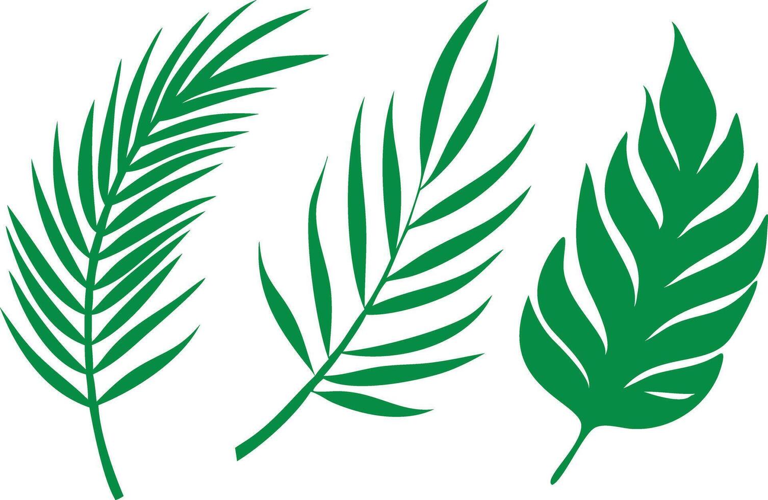 Green Tropical Leaves Isolated on White Background Nature Botanical Art vector