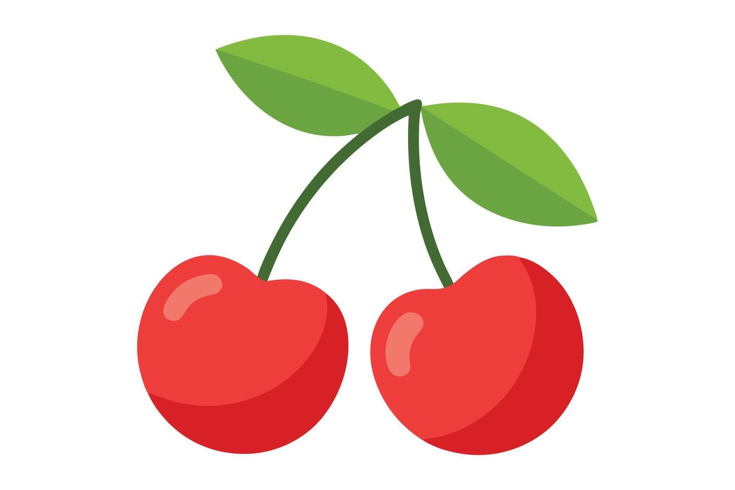Two Red Cherries with Green Leaves Isolated on White Background Fruit vector