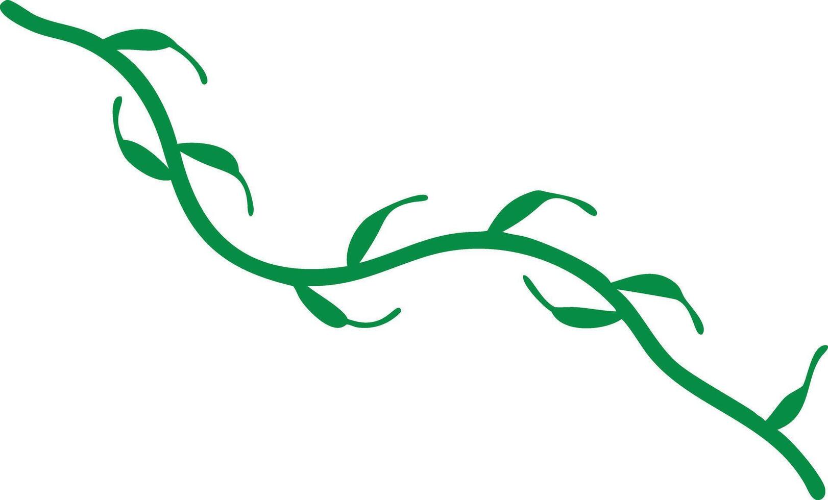 Isolated Green Vine, Twigs and Leaves Design Element on White Background vector