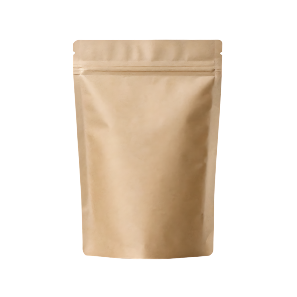 Blank kraft paper pouch with zipper. Mockup for branding and packaging design. png