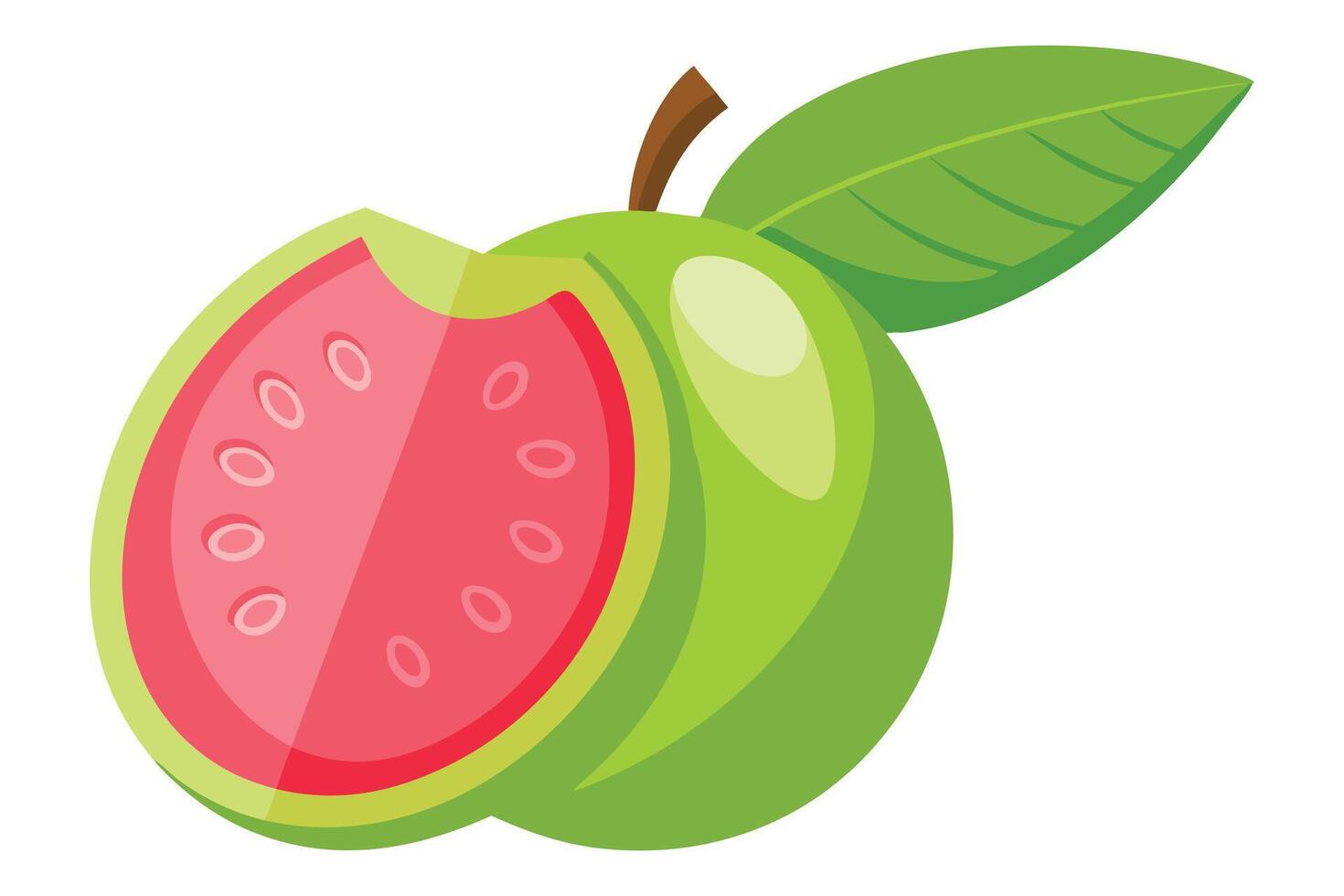 Sliced Guava Fruit with Green Leaf Isolated on a White Background Cartoon Style vector