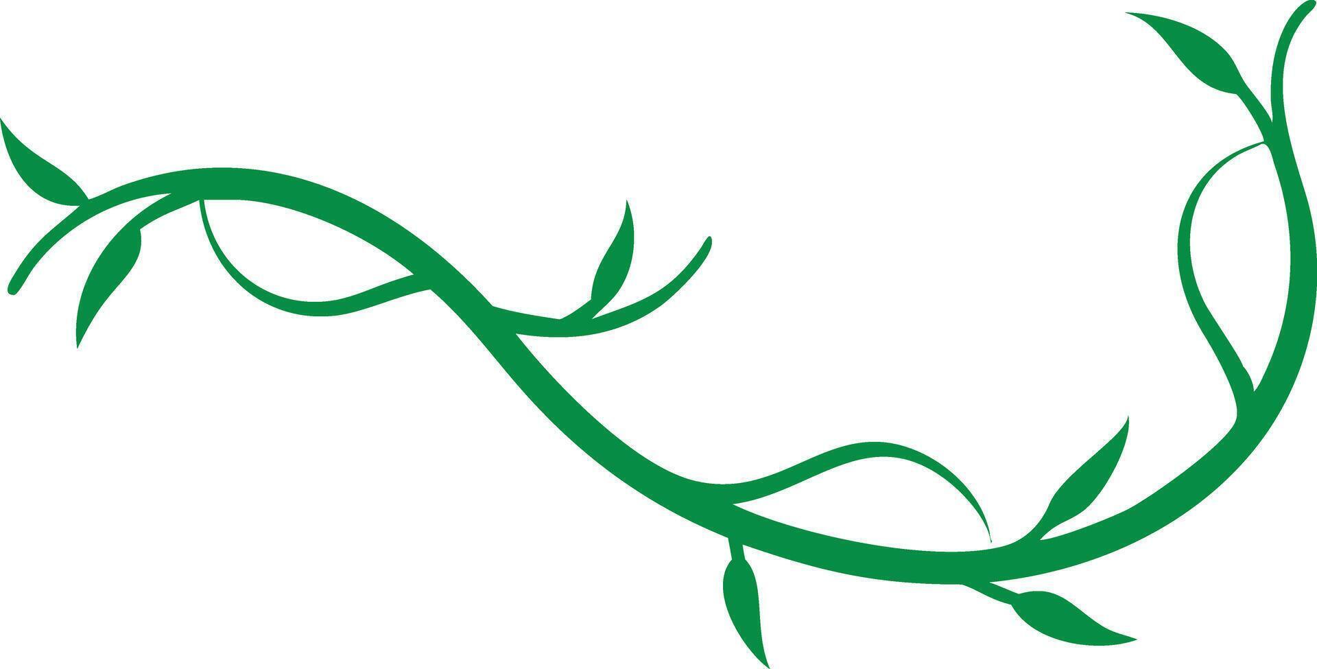 Green Vine Branch with Leaves Decorative Swirl Ornament on White Background vector