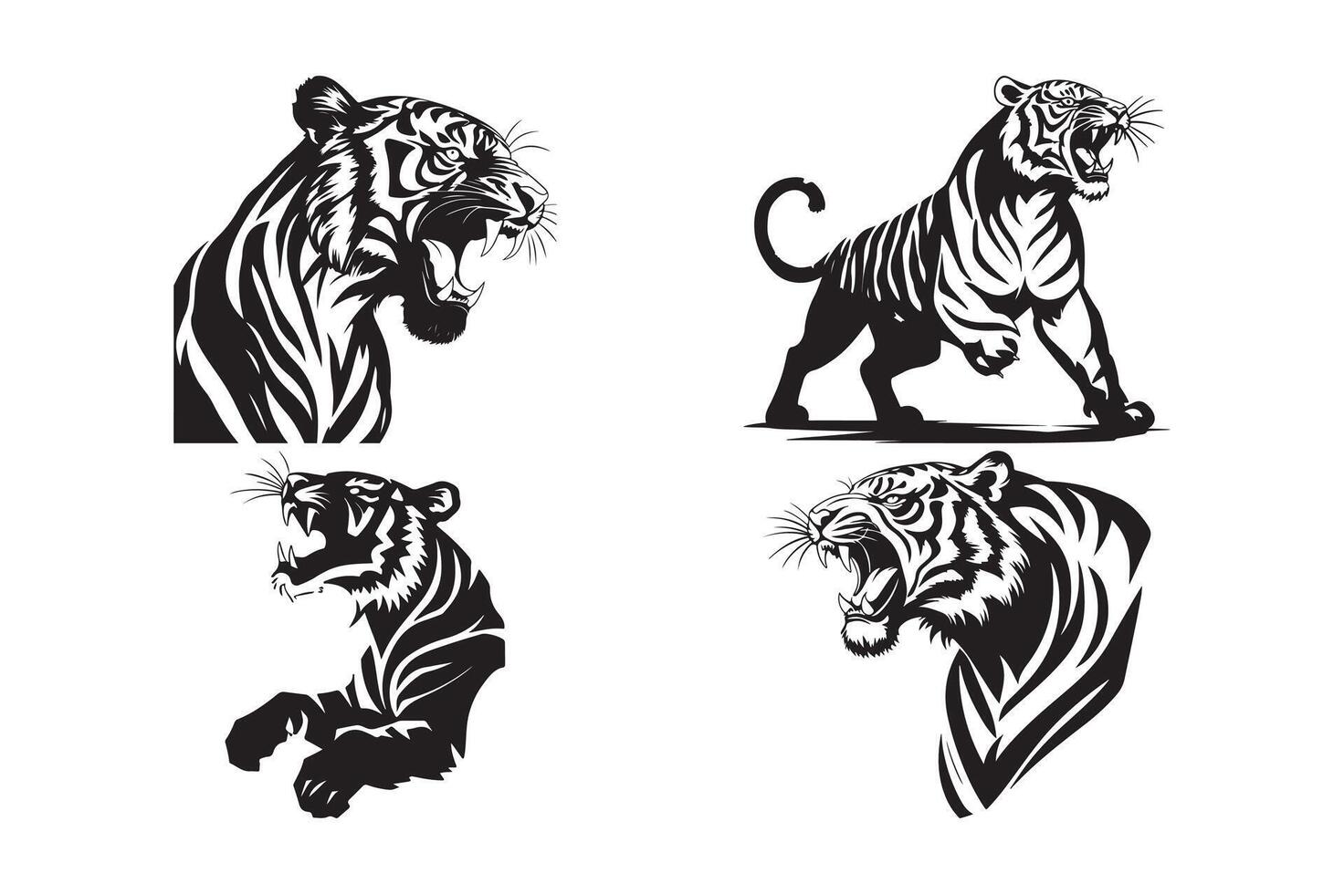 Dynamic Tiger Illustrations Fierce Black and White Artwork vector