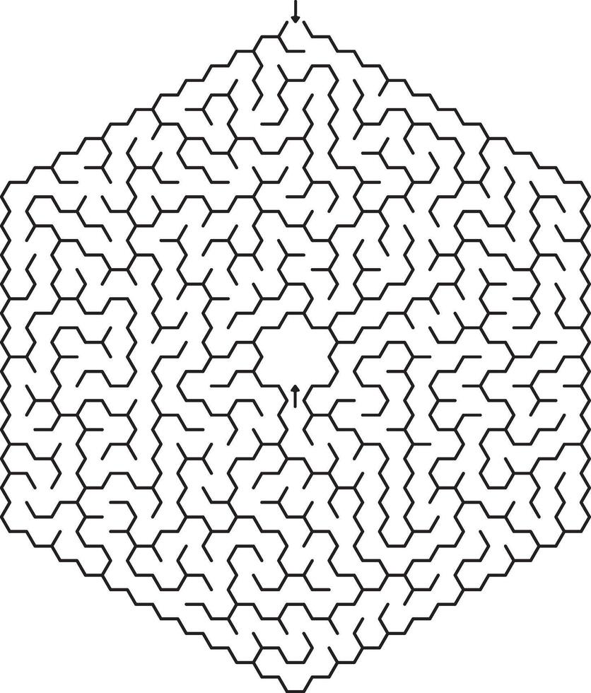 Complex Hexagonal Maze Puzzle Entrance, Exit, Paths, Challenge vector