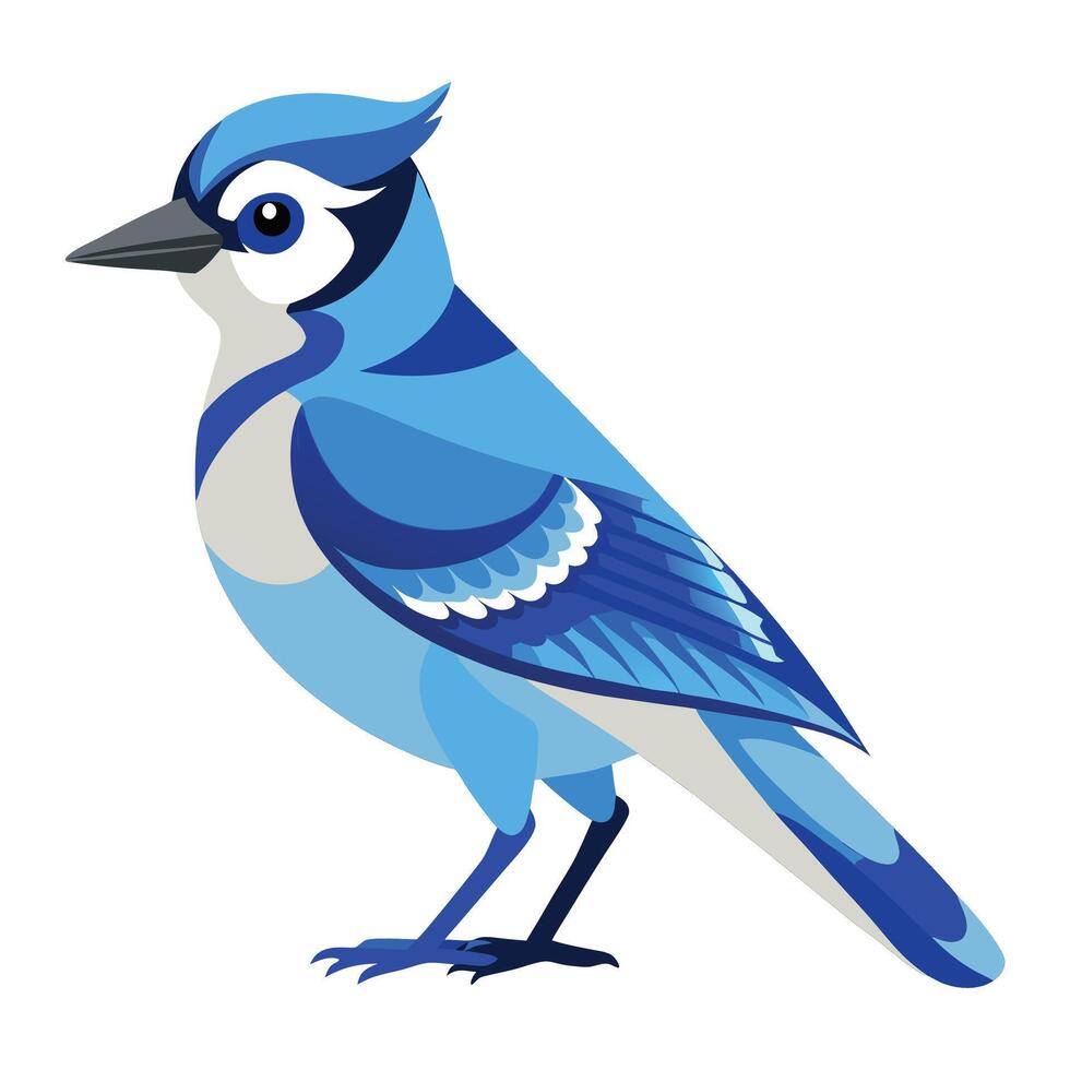 Vibrant Blue Jay Illustration Bold Bird Art for Nature-Themed Designs vector