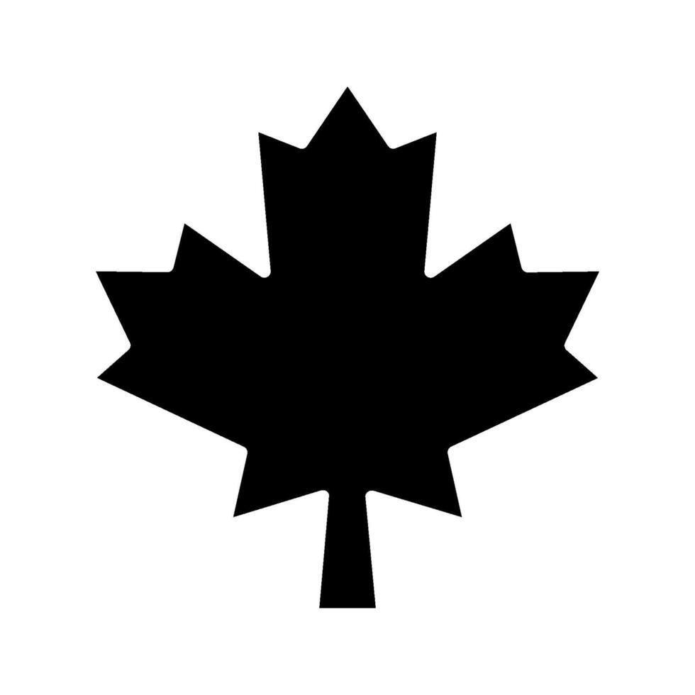 Maple leaf icon.. vector