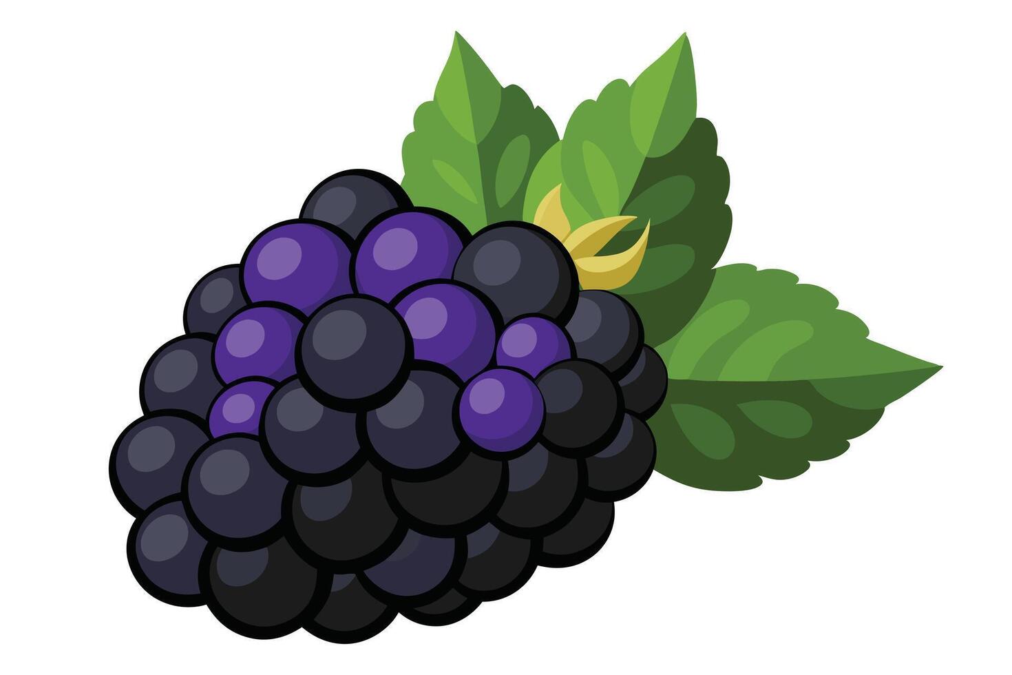 Isolated Cartoon Blackberry Fruit with Green Leaves and Stem on Transparent Background vector