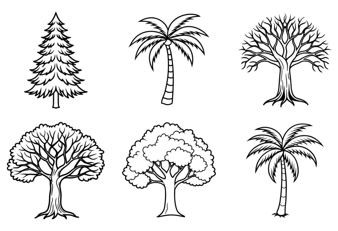 6 tree's line art on white background, palm, oak, pine, Coconut, Banyan tree. tree sat. vector
