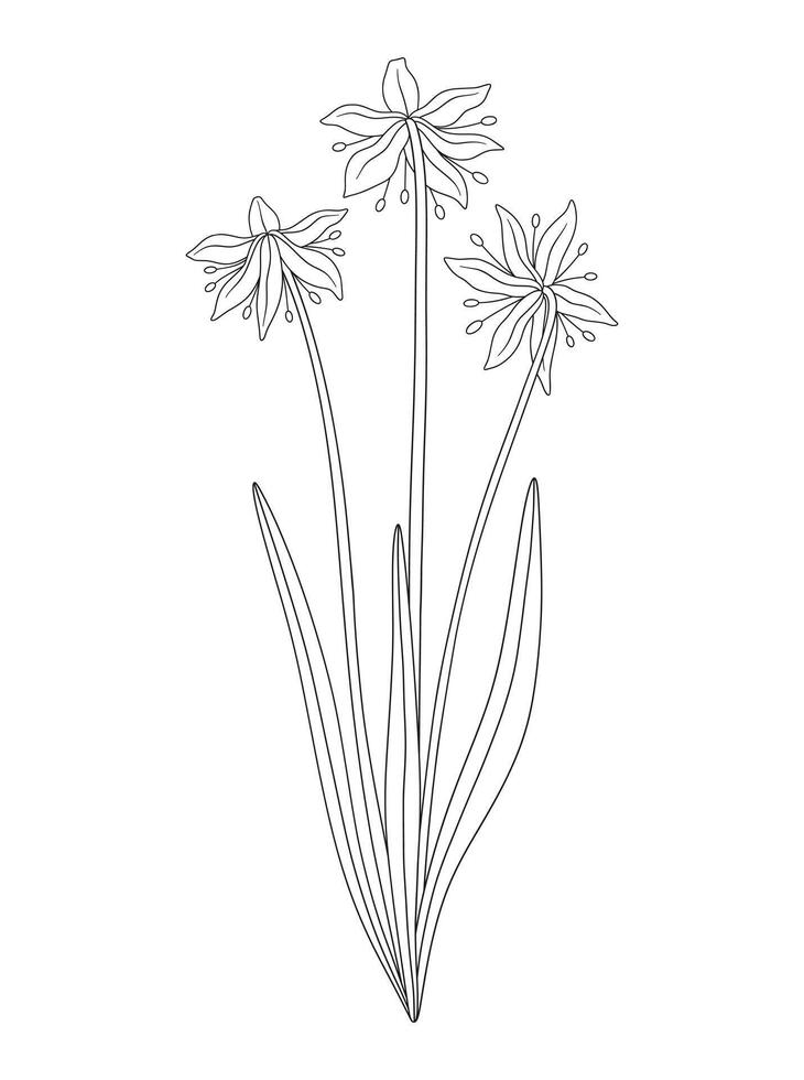Bouquet of three snowdrop flowers with leaves. Bunch of blooming wild plants. Line art, minimal style, contour. Botanical hand drawn elements for design projects vector