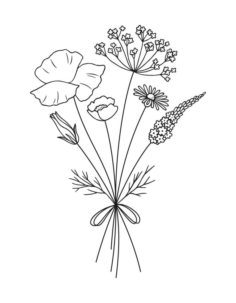 Wildflower line art bouquet. Hand drawn flowers, meadow herbs, wild plants, and botanical elements for design projects vector