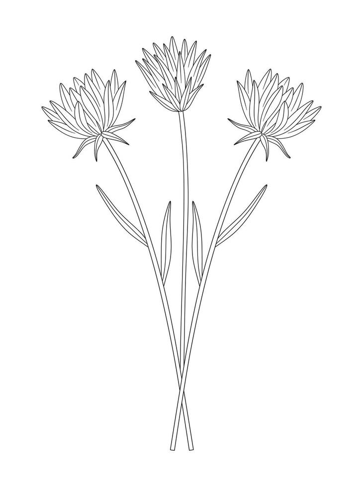 Bouquet of three flowers with leaves. Bunch of blooming perennial wild plants, wildflowers. Line art, minimal style, contour. Botanical handdrawn elements for design projects vector