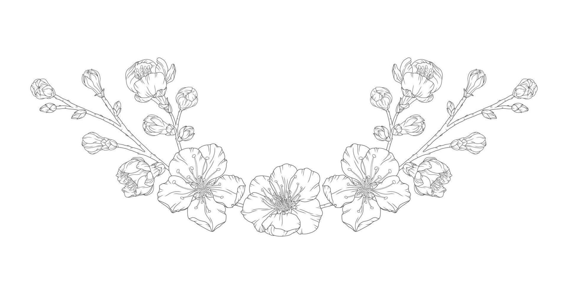 Beautiful vignette of apricot blossom branch in a graceful thin line. Japanese sakura flowers frame outline. Hand drawn sketch of cherry, plum, or peach blossom branch vector