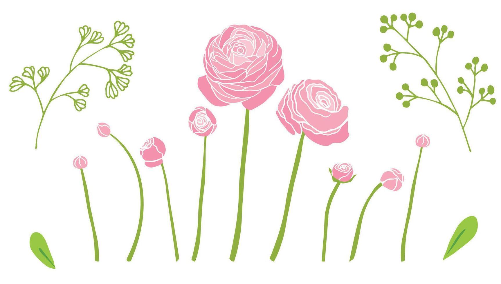 pink ranunculus flowers, buds, and botanical branches with green leaves. Ideal for greeting cards, fabric prints, packaging, and wallpapers. vector