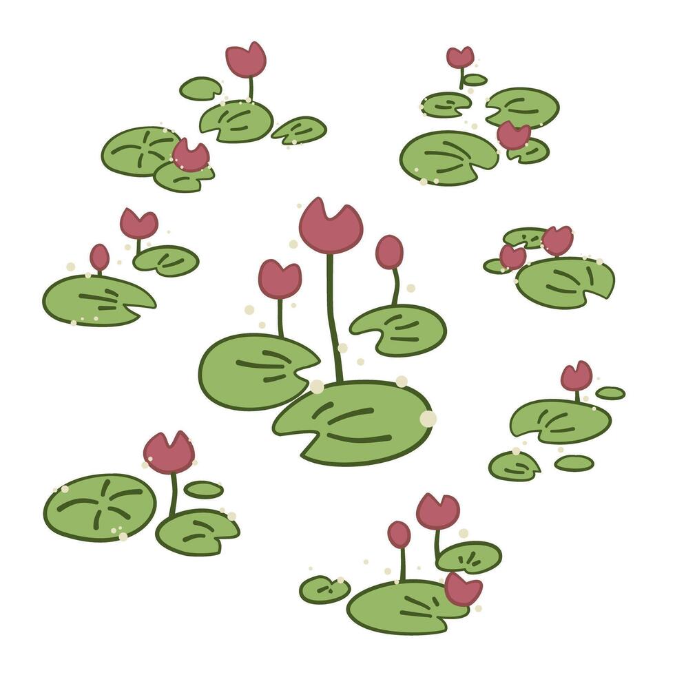 stylized lotus plant, leaf and flower, Nelumbo nucifera vector