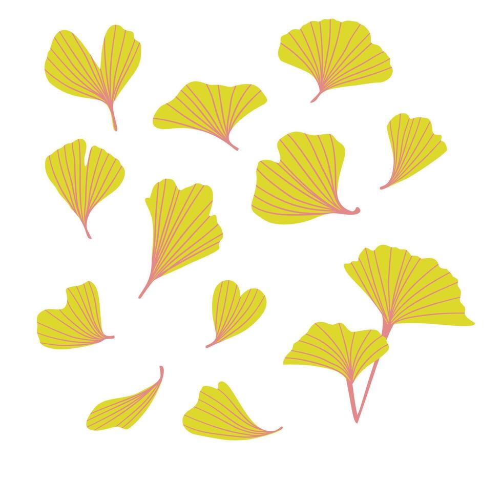 Ginkgo biloba, maidenhair tree, stylized leaf illustration vector