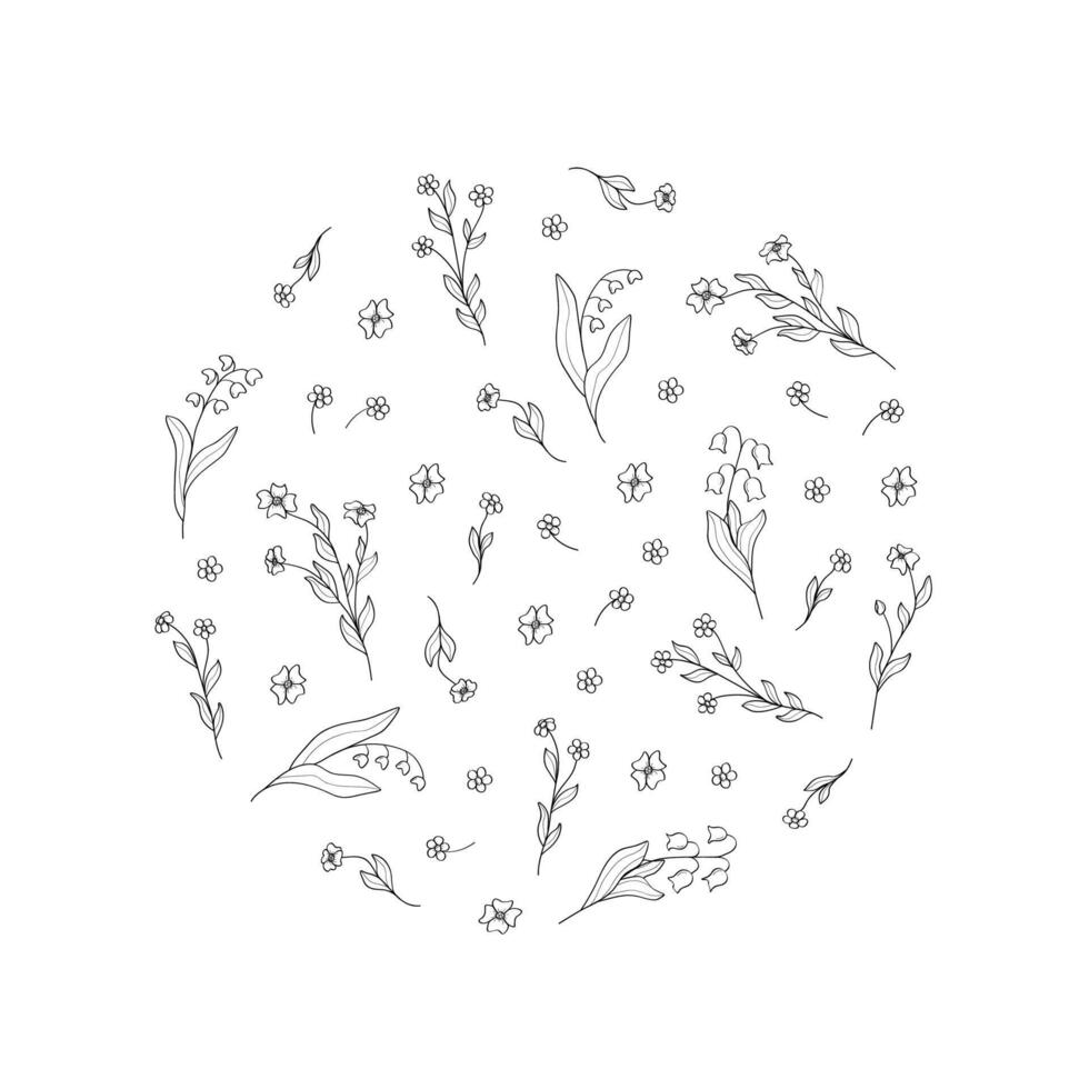 Small spring wildflowers. Flora background, primroses flower vector