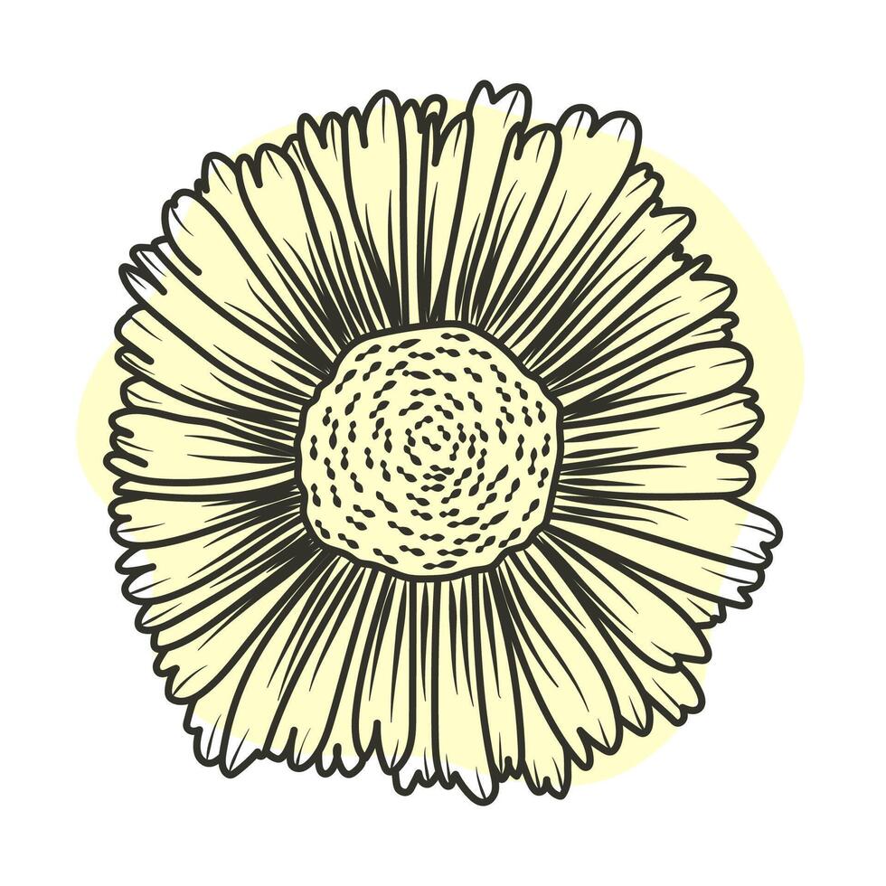 MobileA poster, a poster with a flower in outline on a colored background for an icon, logo, or interior design. A flower in the style of line art. vector