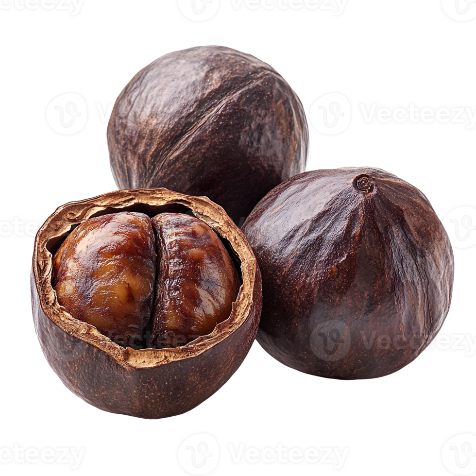 Soapnut isolated on transparent background png