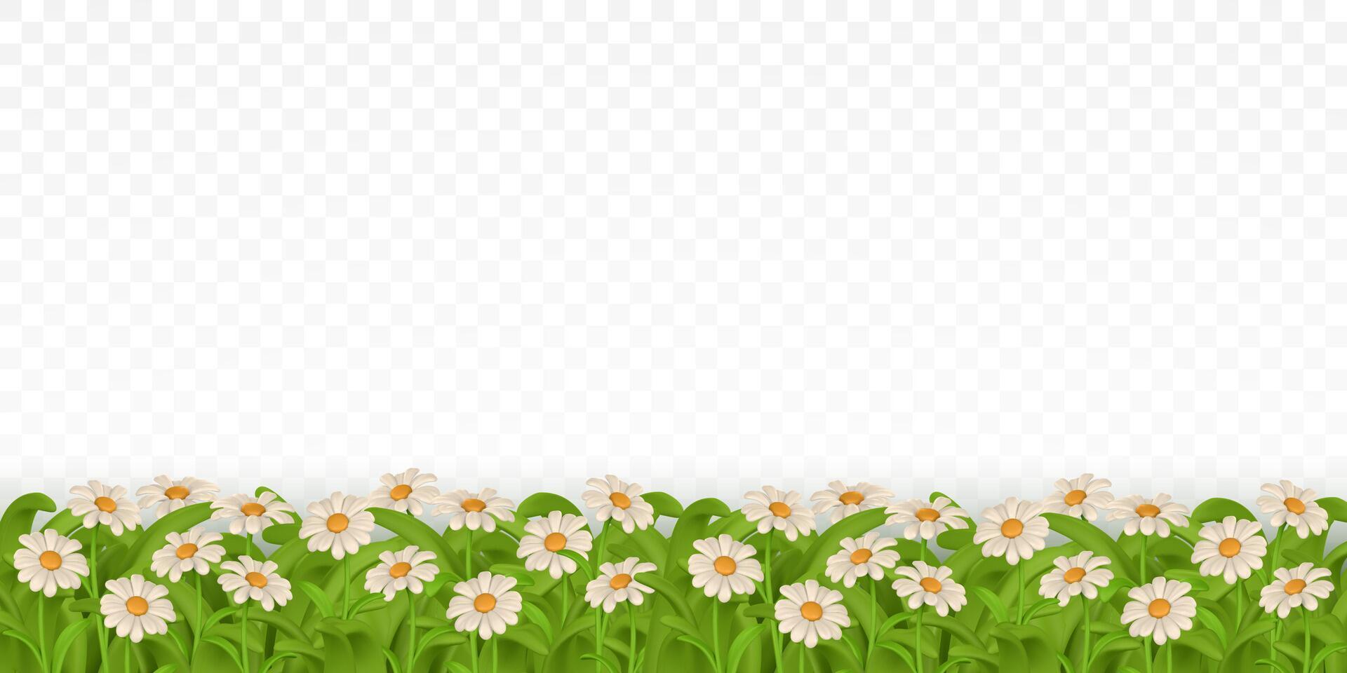 3d green grass border, daisy flower. Chamomile vector