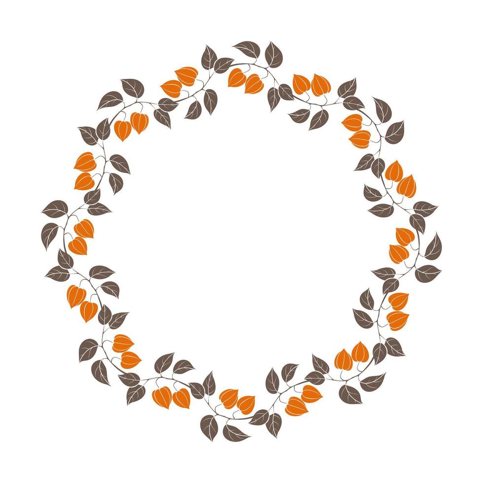 Wreath of physalis branches with orange lantern fruits and leaves. Seamless brush. Round border, frame. Isolated, on white background. vector