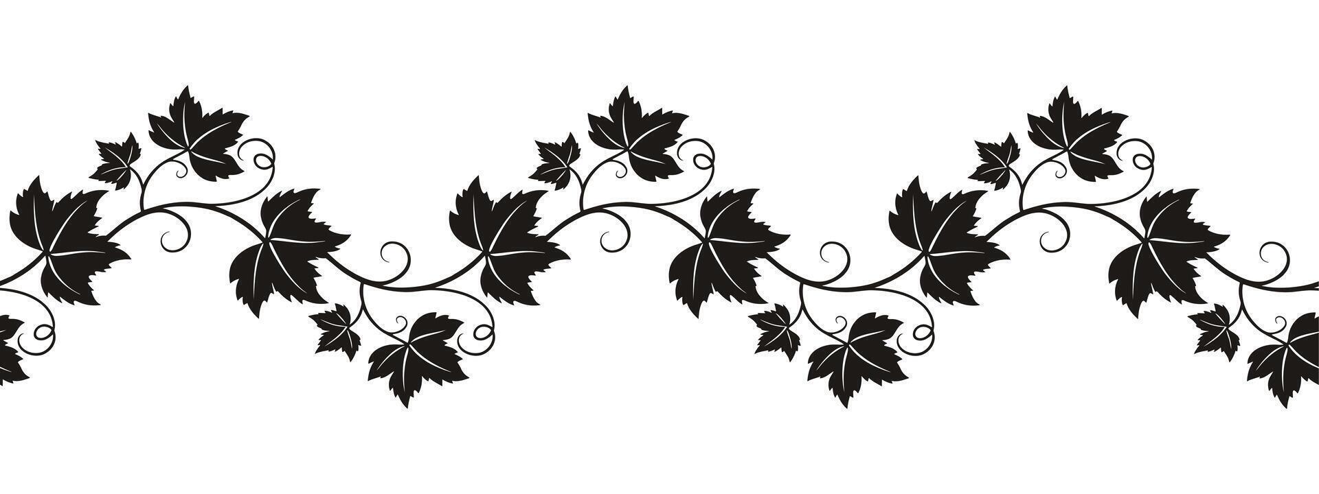 Elegant ornament grapevine. Seamless brush, pattern, isolated on white background. vector