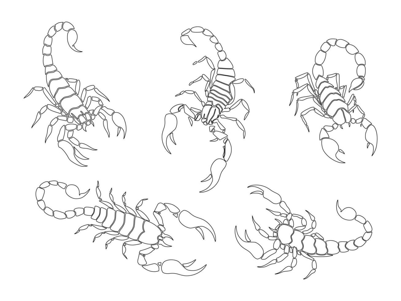 scorpion illustration set of four scorpions vector