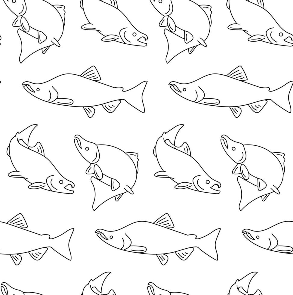 seamless pattern of salmon fish outlines on white background vector