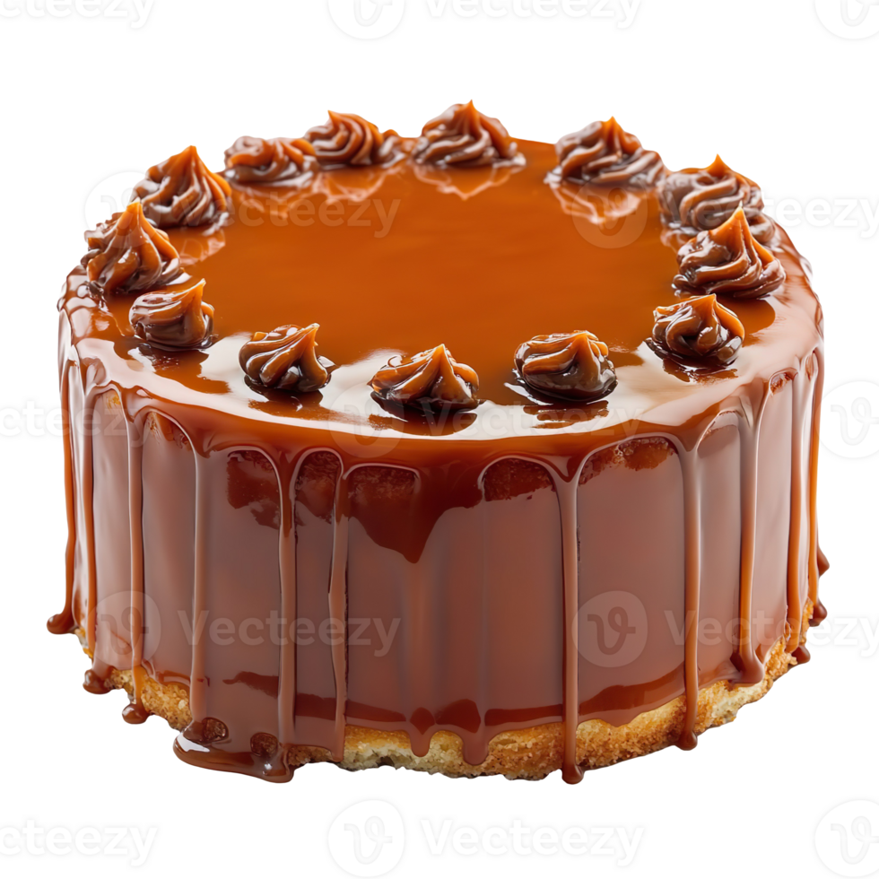 Tasty caramel glazed cake isolated on transparent background png