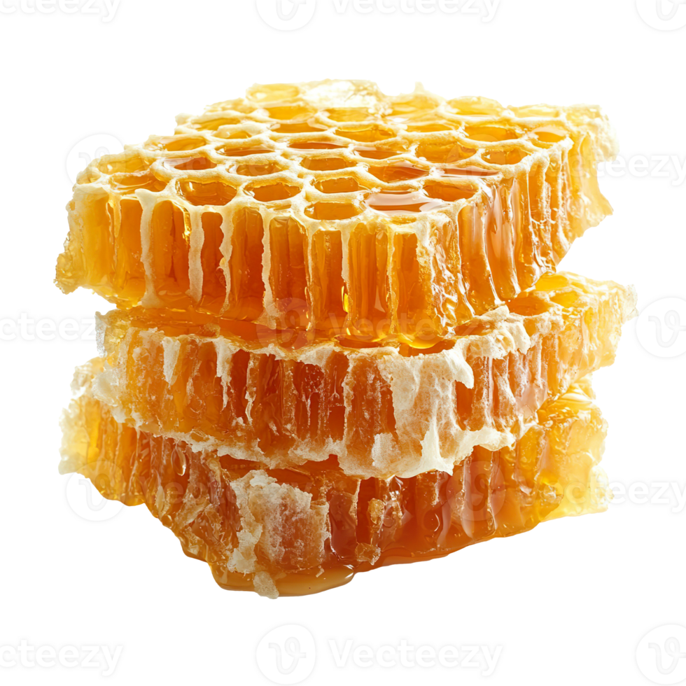 sweet honeycombs with honey isolated on transparent background png