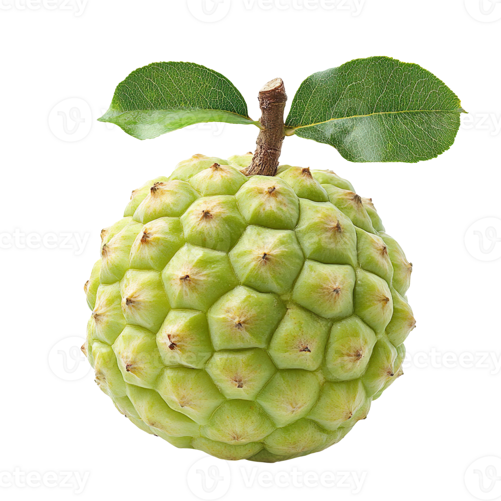 sugar apple isolated on transparent background png