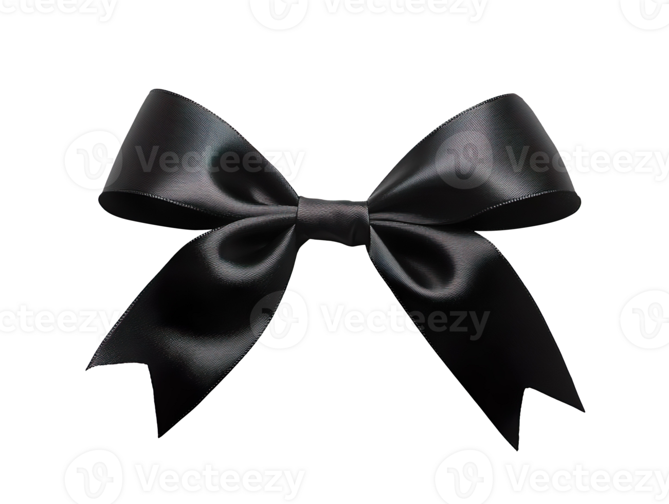 The Black Bow isolated on transparent background png