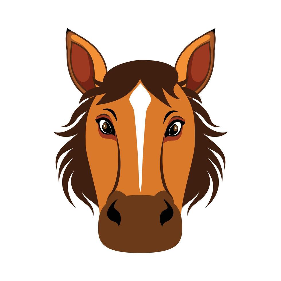 Close up of a brown horse face with a white stripe vector
