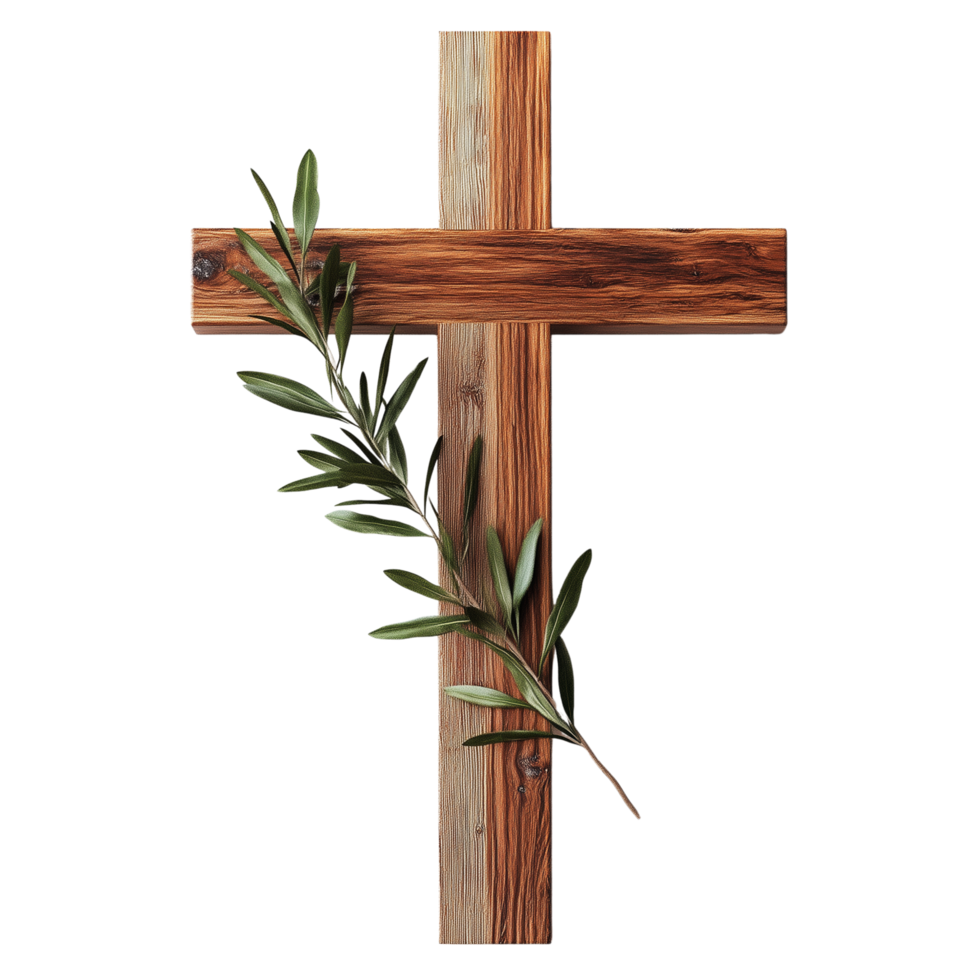A wooden cross with an olive branch isolated on transparent background png