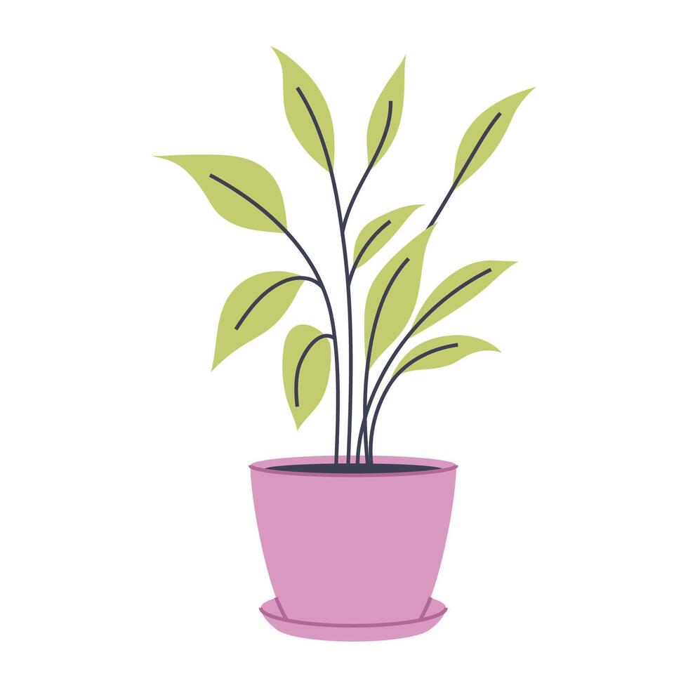 Plant with green leaves in a pink pot. Great for various botanical and nature designs. vector