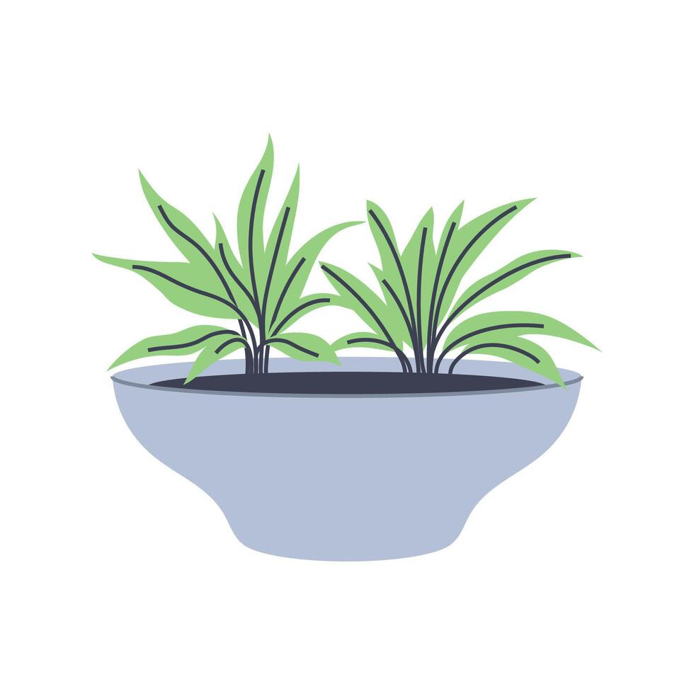 Simple illustration of succulent plants in pot. Perfect for minimalist and botanical designs. vector