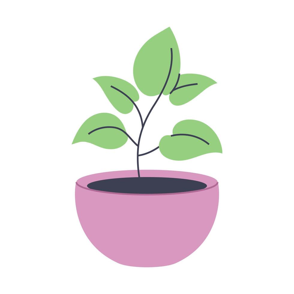 Cute plant in a pink pot. Ideal for modern and natural designs. vector