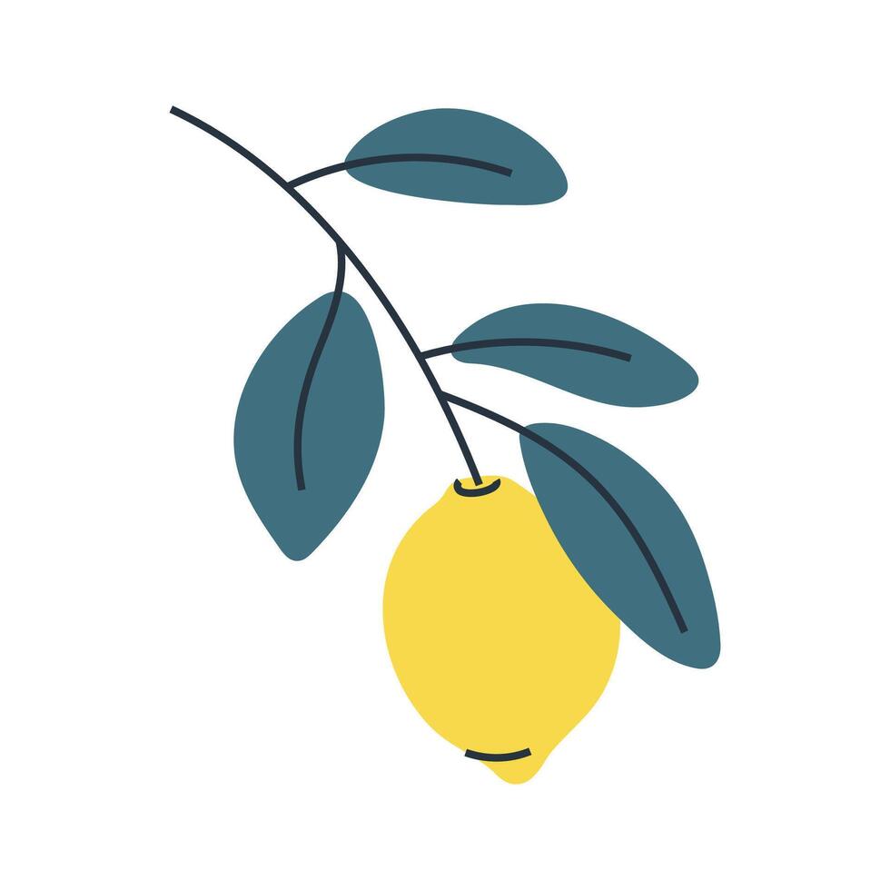 Minimalist illustration of lemon on branch with leaves. Perfect for summer and food designs. vector