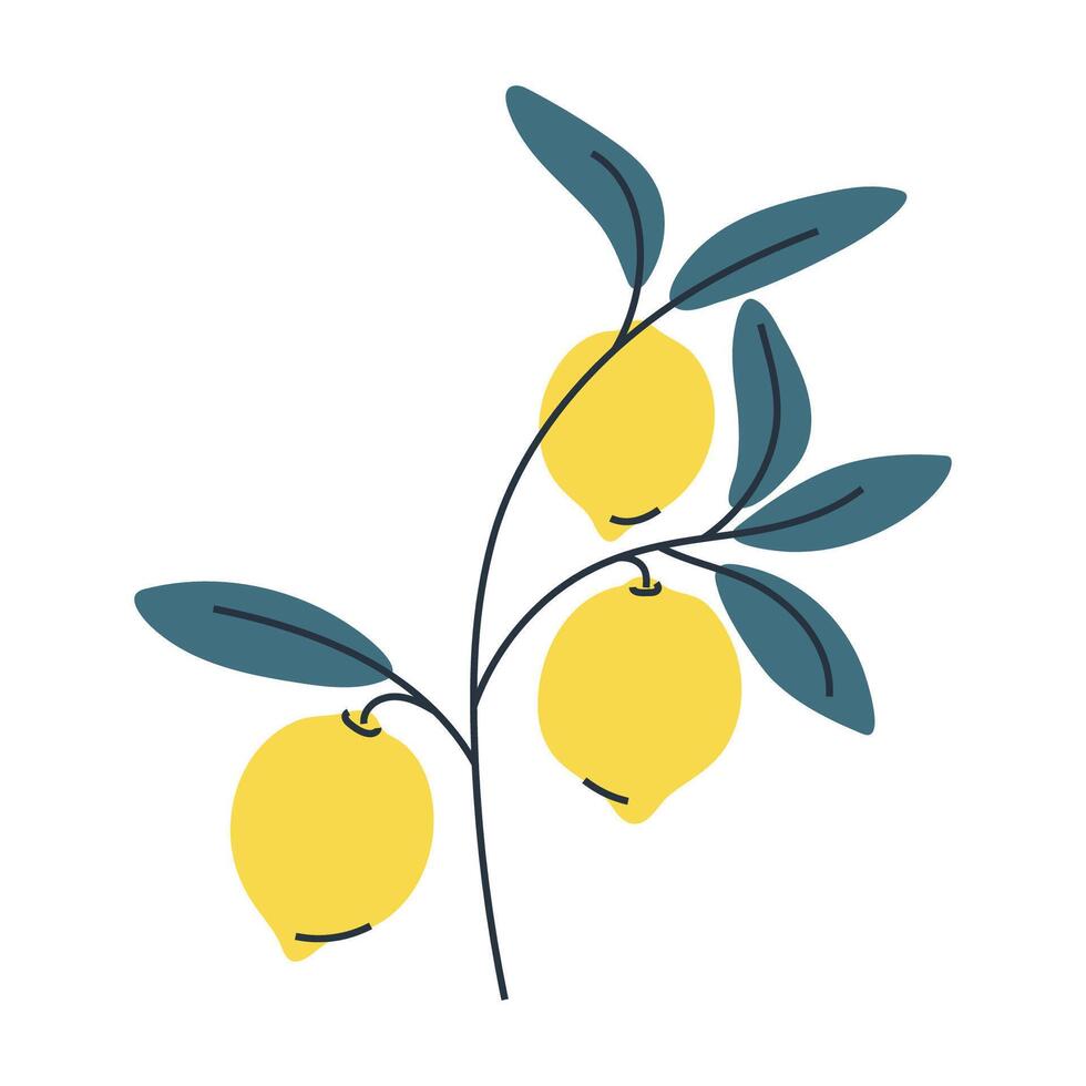 Minimalist illustration of three lemons on branch with leaves. Perfect for summer and food designs. vector