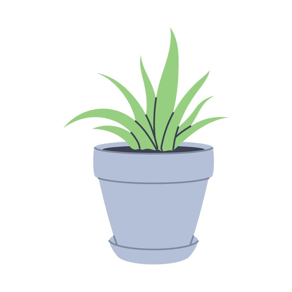 Succulent plant with in a grey pot. Ideal for modern and natural designs. vector